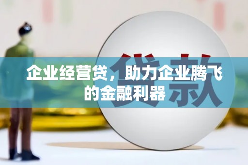 杭锦后旗企业经营贷，助力企业腾飞的金融利器