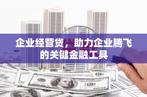 杭锦后旗企业经营贷，助力企业腾飞的关键金融工具
