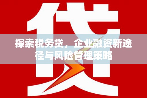 杭锦后旗探索税务贷，企业融资新途径与风险管理策略