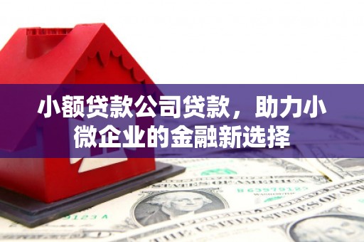 杭锦后旗小额贷款公司贷款，助力小微企业的金融新选择