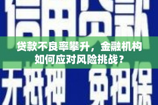 杭锦后旗贷款不良率攀升，金融机构如何应对风险挑战？