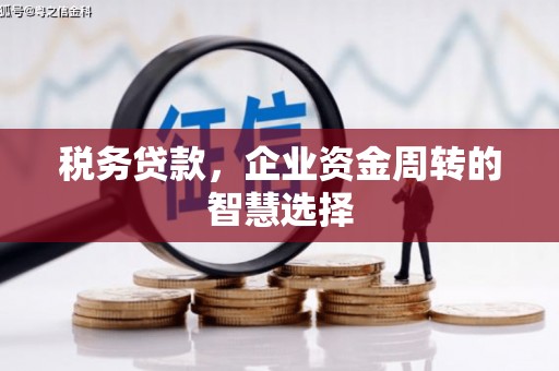 杭锦后旗税务贷款，企业资金周转的智慧选择
