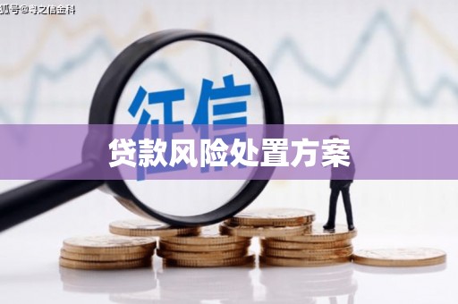 杭锦后旗贷款风险处置方案