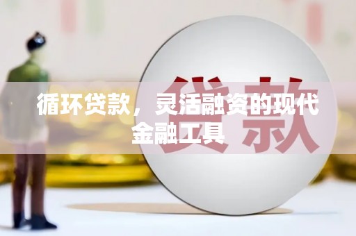 杭锦后旗循环贷款，灵活融资的现代金融工具