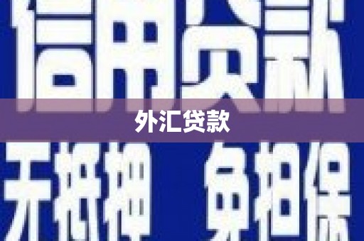 杭锦后旗外汇贷款