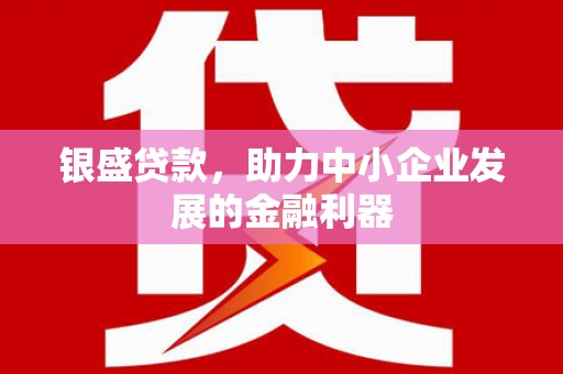 杭锦后旗银盛贷款，助力中小企业发展的金融利器