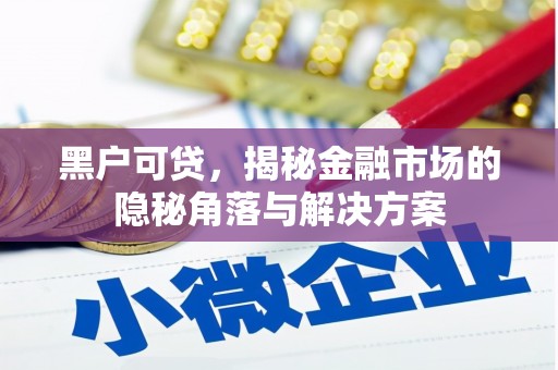 杭锦后旗黑户可贷，揭秘金融市场的隐秘角落与解决方案
