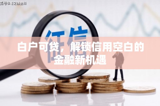 杭锦后旗白户可贷，解锁信用空白的金融新机遇