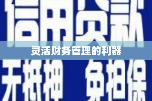 杭锦后旗灵活财务管理的利器