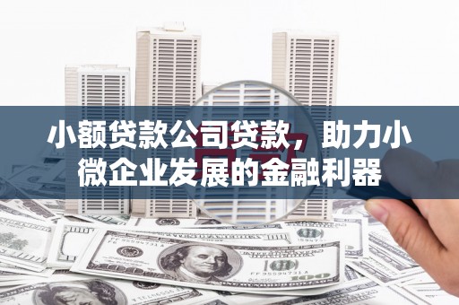 杭锦后旗小额贷款公司贷款，助力小微企业发展的金融利器