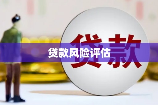 杭锦后旗贷款风险评估