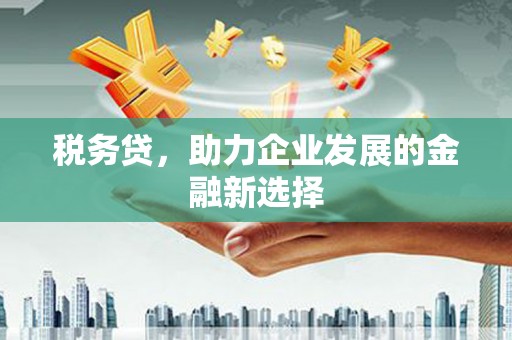 杭锦后旗税务贷，助力企业发展的金融新选择
