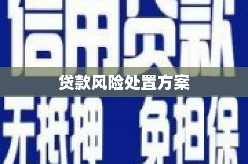 杭锦后旗贷款风险处置方案