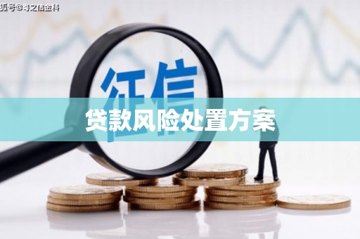 杭锦后旗贷款风险处置方案