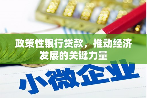 杭锦后旗政策性银行贷款，推动经济发展的关键力量