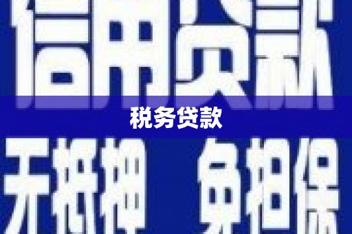 杭锦后旗税务贷款