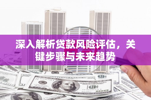 杭锦后旗深入解析贷款风险评估，关键步骤与未来趋势