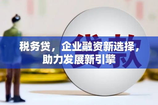 杭锦后旗税务贷，企业融资新选择，助力发展新引擎