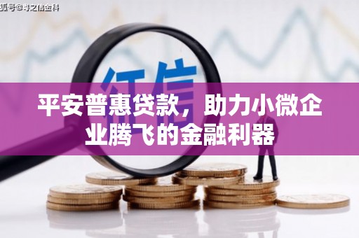 杭锦后旗平安普惠贷款，助力小微企业腾飞的金融利器