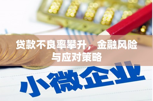 杭锦后旗贷款不良率攀升，金融风险与应对策略