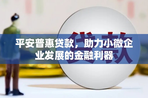 杭锦后旗平安普惠贷款，助力小微企业发展的金融利器
