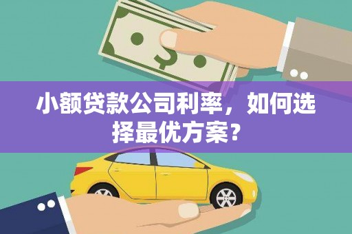 杭锦后旗小额贷款公司利率，如何选择最优方案？
