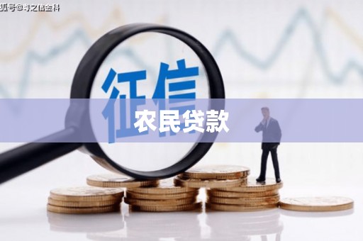 杭锦后旗农民贷款
