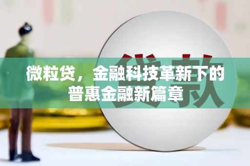杭锦后旗微粒贷，金融科技革新下的普惠金融新篇章