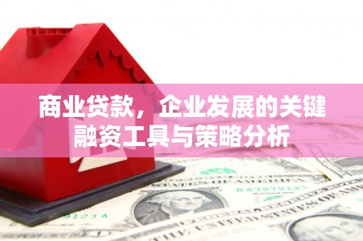杭锦后旗商业贷款，企业发展的关键融资工具与策略分析