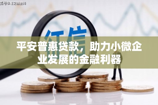 杭锦后旗平安普惠贷款，助力小微企业发展的金融利器