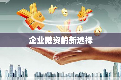 杭锦后旗企业融资的新选择