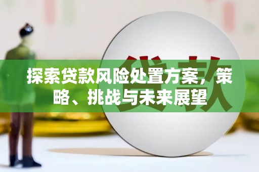 杭锦后旗探索贷款风险处置方案，策略、挑战与未来展望