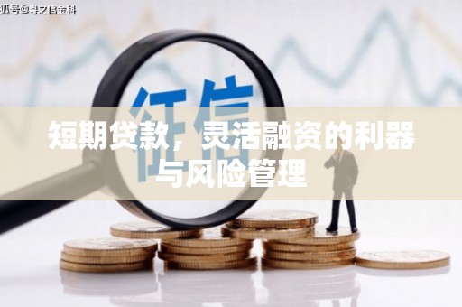 杭锦后旗短期贷款，灵活融资的利器与风险管理