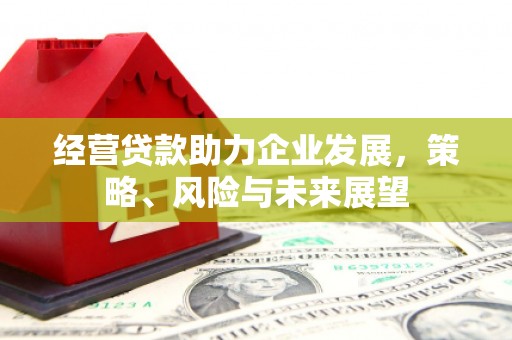 杭锦后旗经营贷款助力企业发展，策略、风险与未来展望