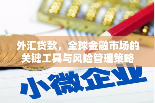 杭锦后旗外汇贷款，全球金融市场的关键工具与风险管理策略