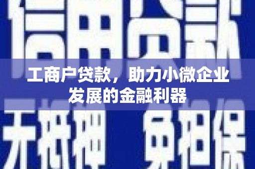 杭锦后旗工商户贷款，助力小微企业发展的金融利器
