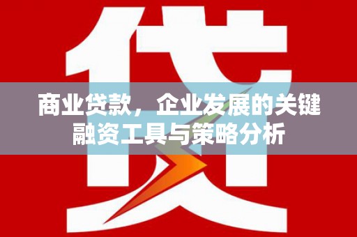 杭锦后旗商业贷款，企业发展的关键融资工具与策略分析