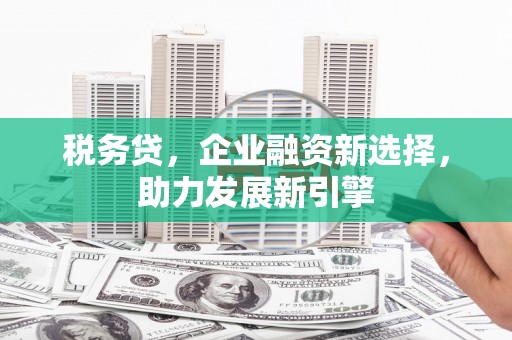 杭锦后旗税务贷，企业融资新选择，助力发展新引擎