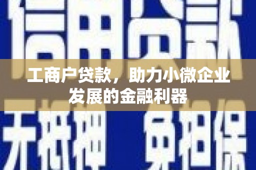 杭锦后旗工商户贷款，助力小微企业发展的金融利器
