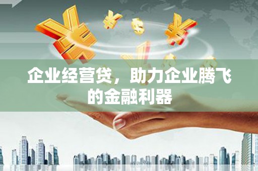 杭锦后旗企业经营贷，助力企业腾飞的金融利器