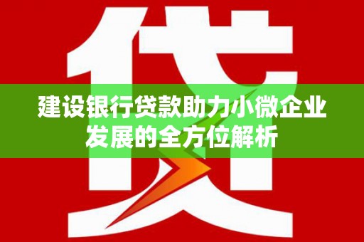 杭锦后旗建设银行贷款助力小微企业发展的全方位解析