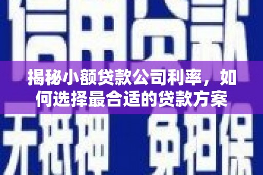 杭锦后旗揭秘小额贷款公司利率，如何选择最合适的贷款方案