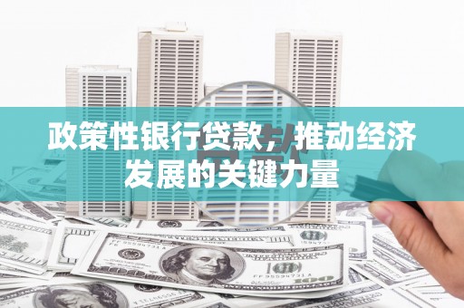 杭锦后旗政策性银行贷款，推动经济发展的关键力量