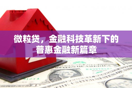 杭锦后旗微粒贷，金融科技革新下的普惠金融新篇章