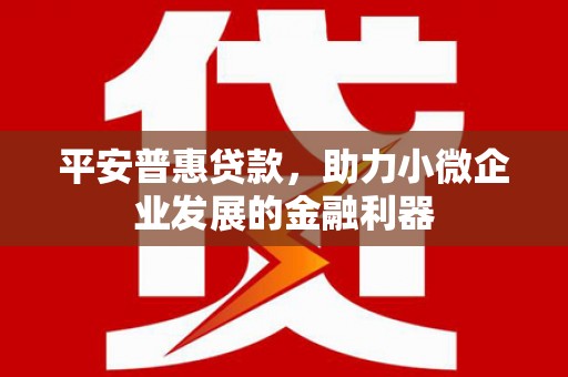 杭锦后旗平安普惠贷款，助力小微企业发展的金融利器