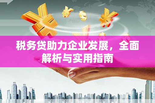 杭锦后旗税务贷助力企业发展，全面解析与实用指南