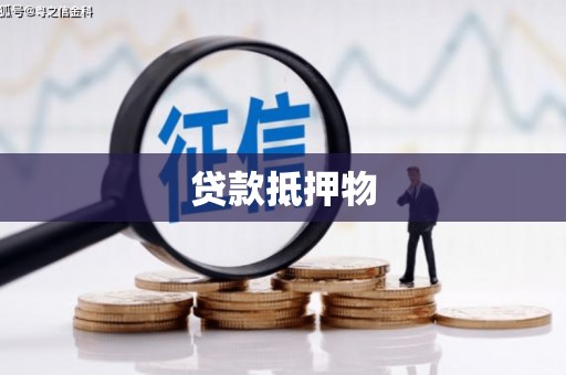 杭锦后旗贷款抵押物