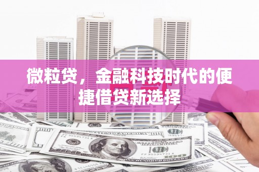 杭锦后旗微粒贷，金融科技时代的便捷借贷新选择