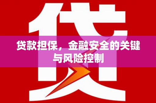杭锦后旗贷款担保，金融安全的关键与风险控制