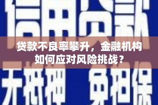 杭锦后旗贷款不良率攀升，金融机构如何应对风险挑战？